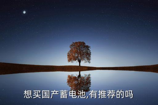想买国产蓄电池,有推荐的吗