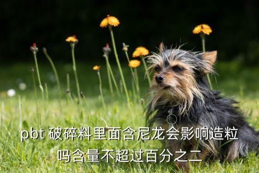 pbt 破碎料里面含尼龙会影响造粒吗含量不超过百分之二