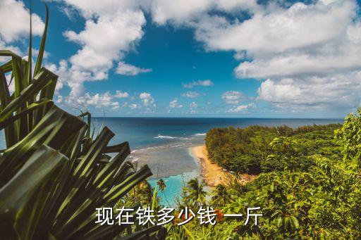 南宁铁价格多少钱一斤,南宁植发价格多少钱左右