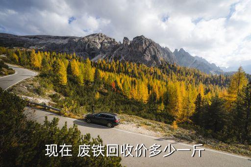 现在 废铁回收价多少一斤