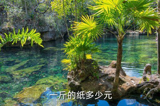  一斤的纸多少元