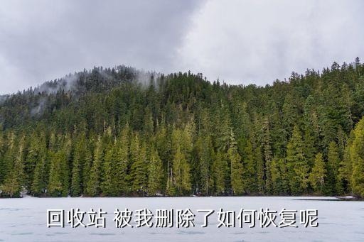回收站 被我删除了如何恢复呢