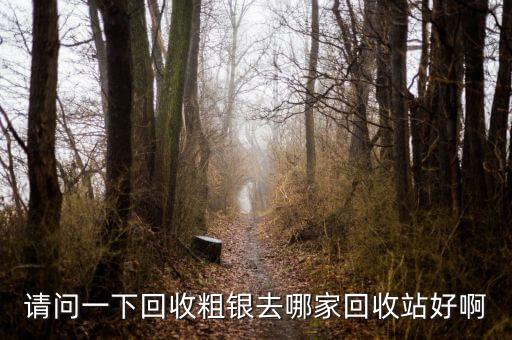请问一下回收粗银去哪家回收站好啊