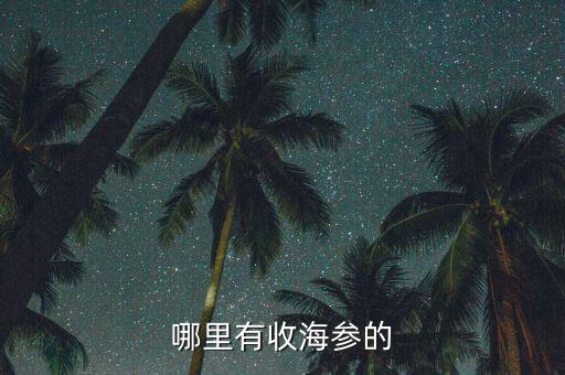 哪里有收海参的