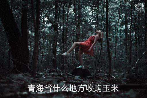 青海省什么地方收购玉米