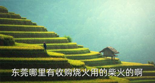 东莞哪里有收购烧火用的柴火的啊