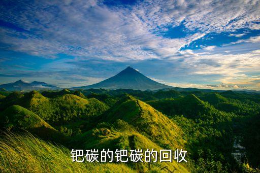 钯碳的钯碳的回收