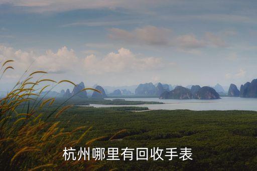 杭州哪里有回收手表