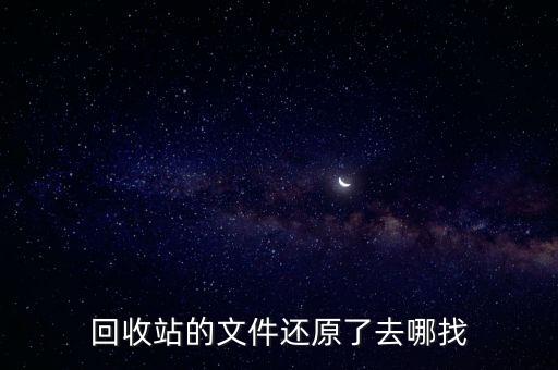回收站的文件还原了去哪找