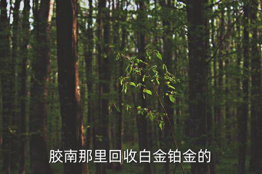 胶南那里回收白金铂金的
