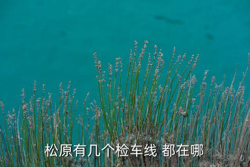 松原有几个检车线 都在哪
