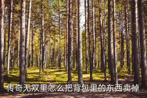 传奇无双里怎么把背包里的东西卖掉
