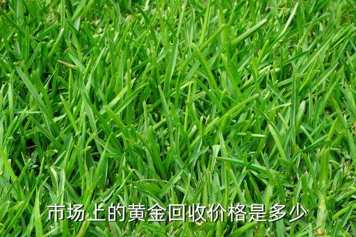 市场上的黄金回收价格是多少
