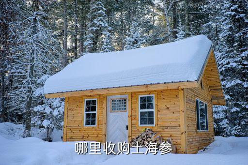 哪里收购土海参