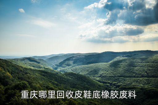 重庆哪里回收皮鞋底橡胶废料
