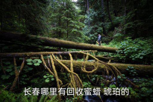 哪里可以回收蜜蜡，长春哪里有回收蜜蜡 琥珀的