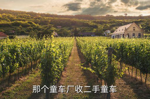 那个童车厂收二手童车