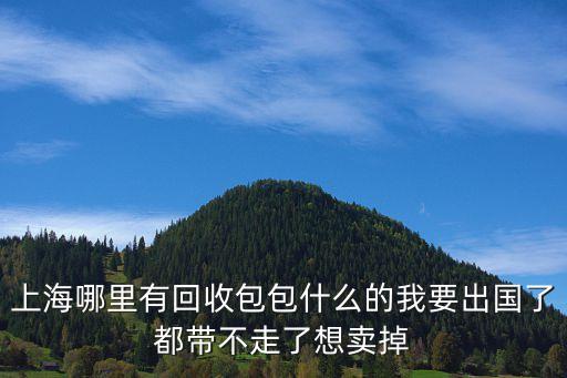 上海哪里有回收包包什么的我要出国了都带不走了想卖掉