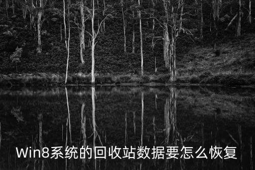 win8怎么恢复回收站，Win8系统的回收站数据要怎么恢复