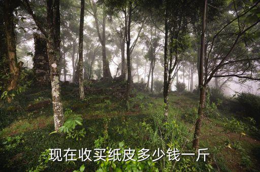 现在收买纸皮多少钱一斤