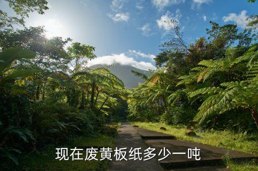 现在废黄板纸多少一吨