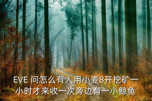 EVE 问怎么有人用小麦8开挖矿一小时才来收一次旁边有一小鲸鱼