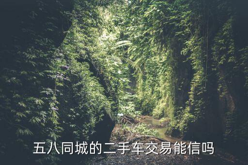 五八同城的二手车交易能信吗