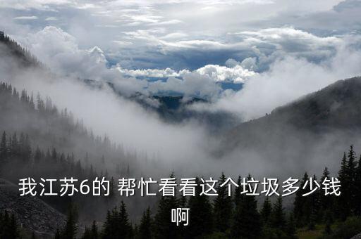 我江苏6的 帮忙看看这个垃圾多少钱啊