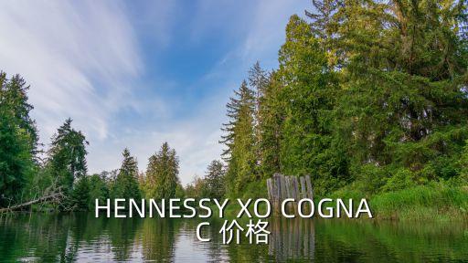 北京哪里回收轩尼诗，hennessy XO COGNAC价格