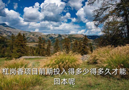 杠岗香项目前期投入得多少得多久才能回本呢