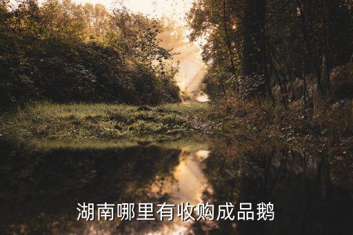 湖南哪里有收购成品鹅