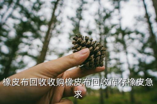 橡皮布回收收购橡皮布回收库存橡皮急求