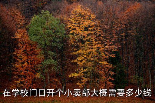 开一个寄卖行大概多少钱，开个小卖部大概多少钱