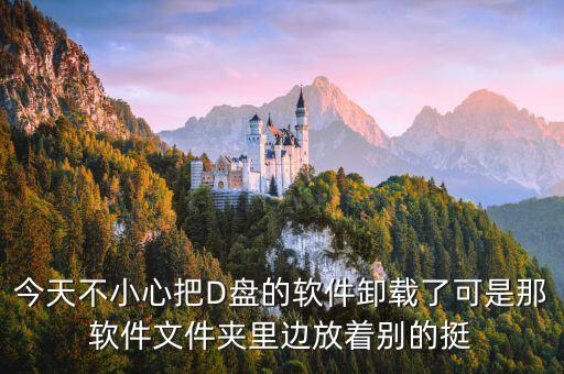 今天不小心把D盘的软件卸载了可是那软件文件夹里边放着别的挺