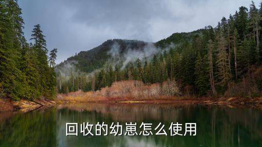 回收的幼崽怎么使用