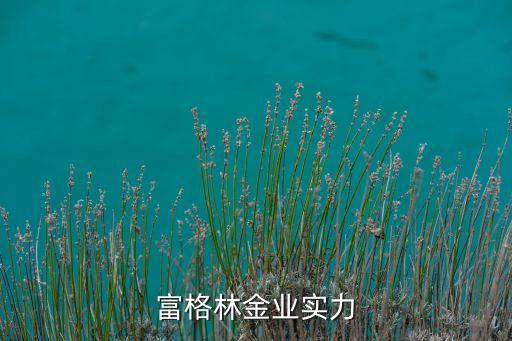 富格林金业实力