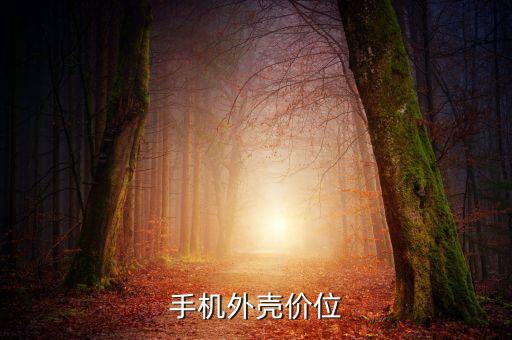 手机外壳价位