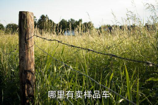 哪里有卖样品车