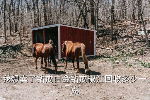 我想卖了钻戒白金钻戒椒江回收多少一克