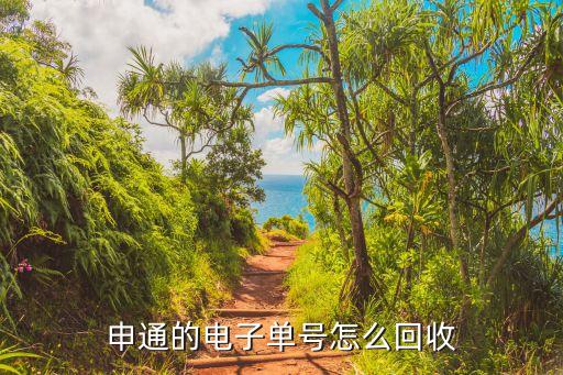 怎么单号回收，申通的电子单号怎么回收