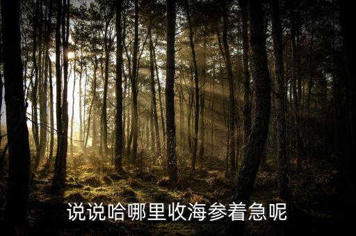 说说哈哪里收海参着急呢