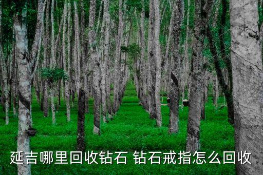 延吉哪里回收钻石 钻石戒指怎么回收