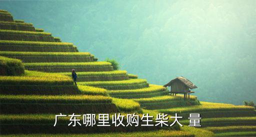 广东哪里收购生柴大 量