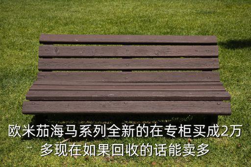 欧米茄海马系列全新的在专柜买成2万多现在如果回收的话能卖多