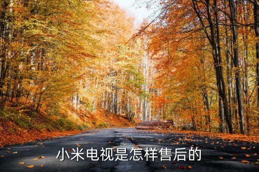 小米电视是怎样售后的