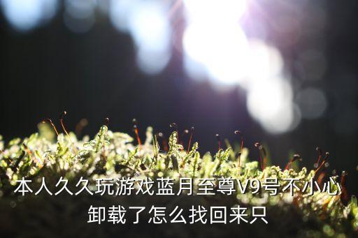 本人久久玩游戏蓝月至尊V9号不小心卸载了怎么找回来只