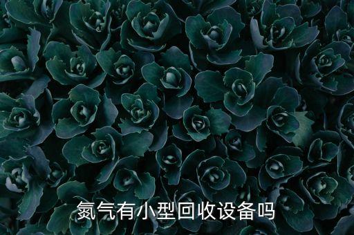 氮气有小型回收设备吗