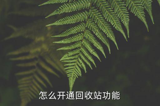 怎么开通回收站功能