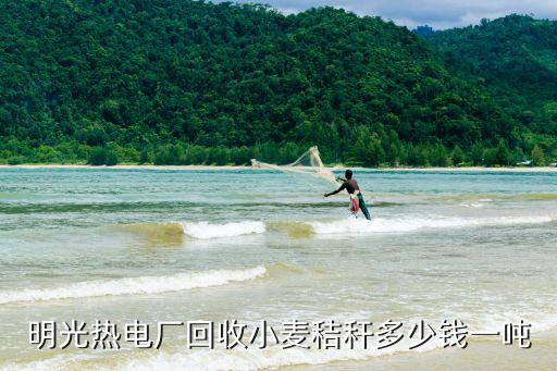 明光热电厂回收小麦秸秆多少钱一吨