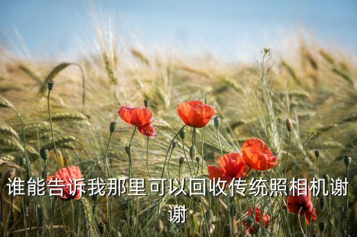谁能告诉我那里可以回收传统照相机谢谢